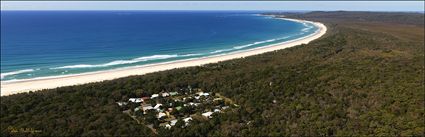 Flinders - North Stradbroke Island - QLD 2014 (PBH4 00 17700)